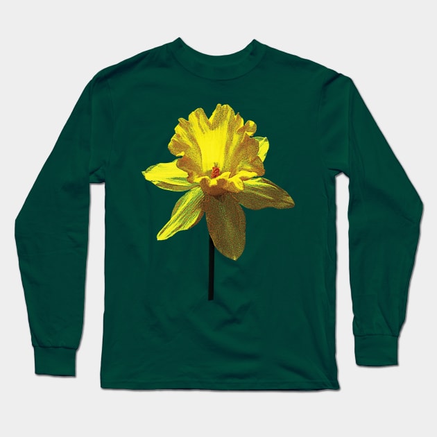 Daffodils - Daffodil Looking Up Long Sleeve T-Shirt by SusanSavad